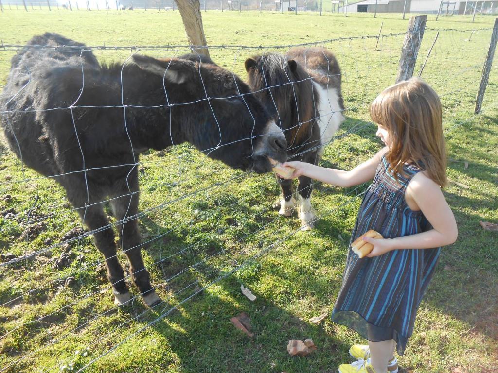 La Ferme Des 3 Suissesses Acomodação com café da manhã Saint-Paul  Exterior foto